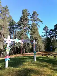 Звёздный - 25