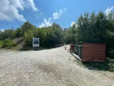 Сосны New - 57