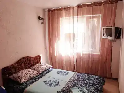 Спортлото-82 - 19