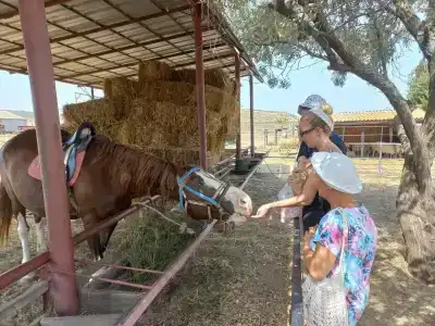 Страусиная ферма Экзотик - 45