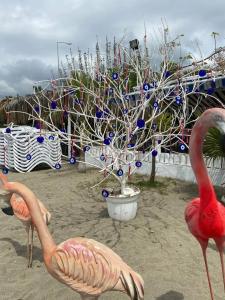 Blue Wave Suite - 79