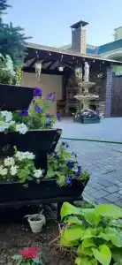 Nairi - 7