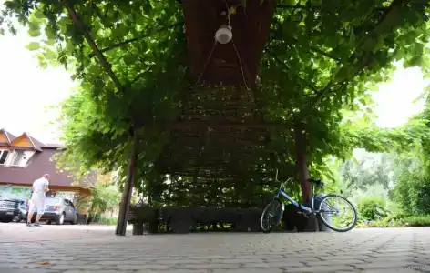 Панский сад - 41