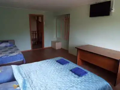 Усадьба помещика Гуляева - 10