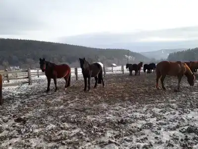 Сухов ключ - 8