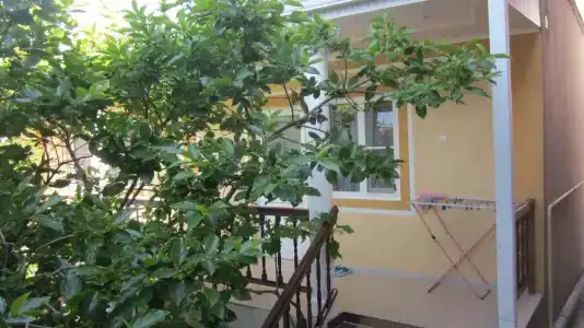 Одежда - 16