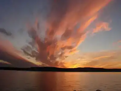 Даурское - 0