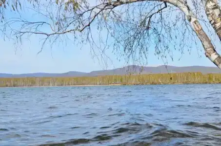 Линевский берег - 15