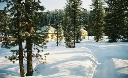 Снежный барс - 19