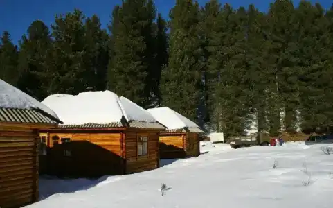 Снежный барс - 9