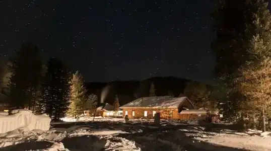Снежный барс - 22