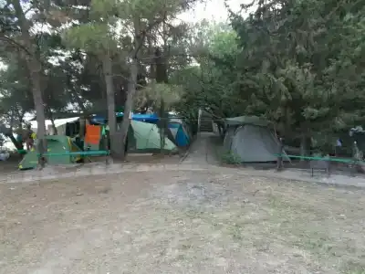 В гостях у Джокера - 16
