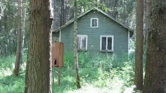 Лесной Родник - 33