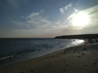 у Лены - 11