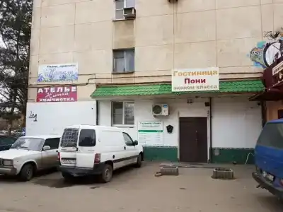 Пони - 1