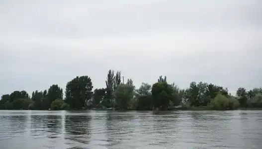 Рыбное место - 17