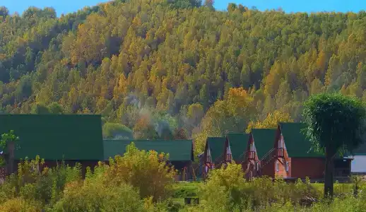 Медвежий Угол Алтай - 39