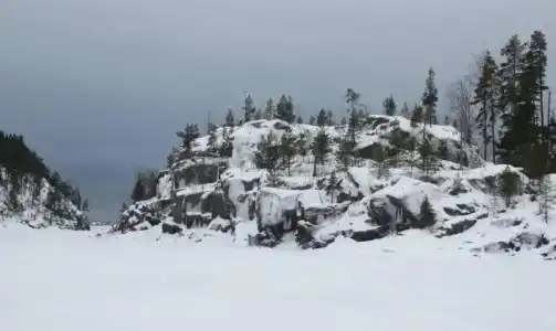 Микли-Ольгино - 45