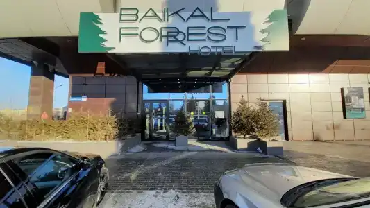 Baikal Forest - 61
