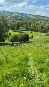 Гостевой дом Бедаревых у Пасечника - 8
