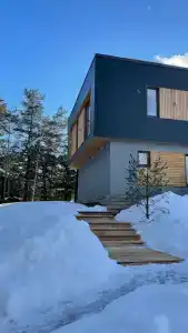 Чайка 1918 - 39