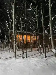 Арктик Хоум - 98