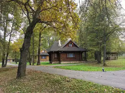 Серебряный век - 20