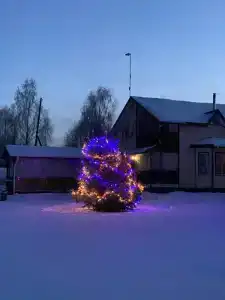 Четыре сезона - 31