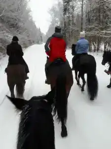 Храброво - 20