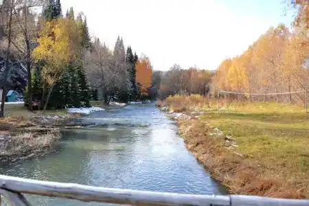 Таёжные дали - 36