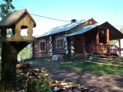 в лесу - 9
