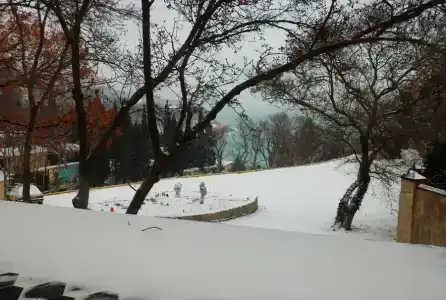 Зелёный мыс - 88