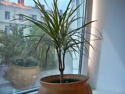 Клуб Бостон - 38