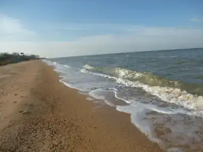 Маргарита - 2