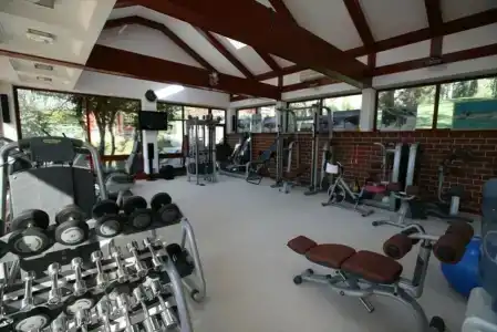 Вязовая роща - 12