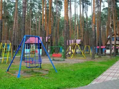 Сосны - 10