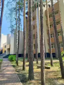 Аленушка - 14