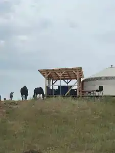 Юрта_парк - 10