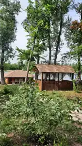 Роза Ветров - 15