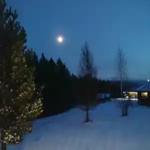 Ясная Поляна - 47