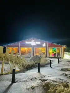 Морошка - 0