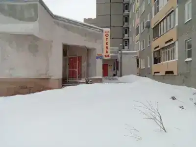 Любисток - 4