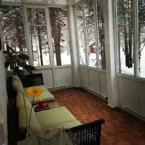 Чайка - 6