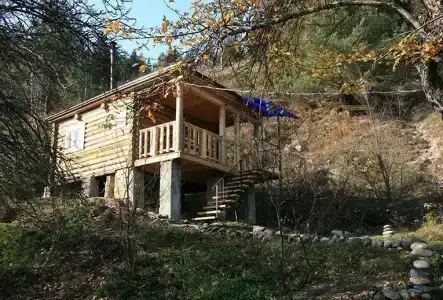Комбат - 13