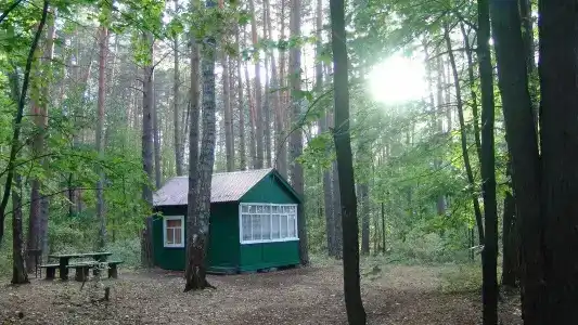 Берег - 6