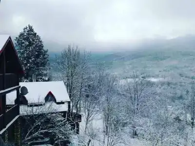 Лесной кордон - 45