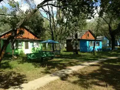 Дубовая Грива - 21