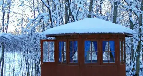 Сабо - 19