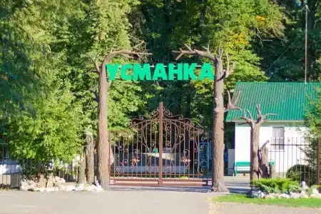 Усманка - 1