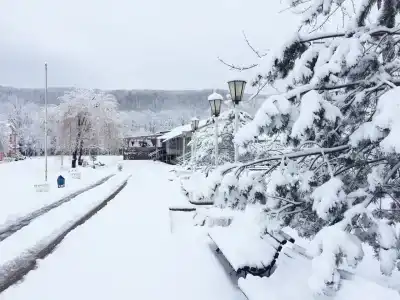 Родничок - 18